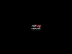 www.redhog.ro