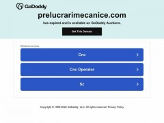 www.prelucrarimecanice.com