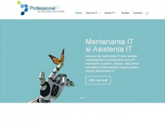 www.professional-it.ro